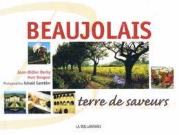 Beaujolais terre de saveurs par Jean-Didier Derhi et Marc Rong