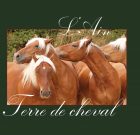 L’Ain terre de cheval