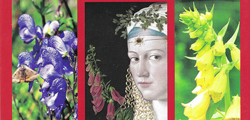 Beautés fatales, enquête sur ces fleurs qui ont empoissonné l’Histoire